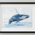 Ballena Jorobada